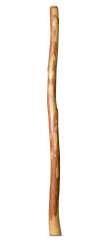 Natural Finish Didgeridoo (TW1337)